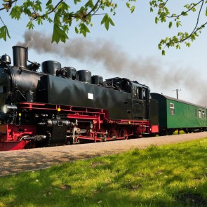 Grassland Steam Train Photography Background Backdrops For Photo Studio