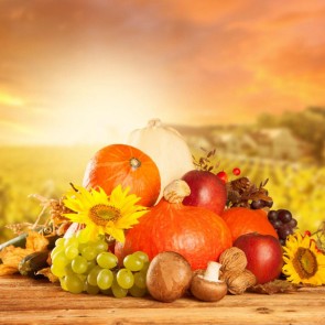 Thanksgiving Day Photography Background Sunflower Pumpkin Sunset Backdrops