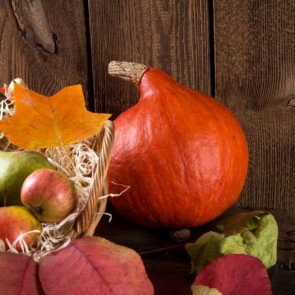 Thanksgiving Day Photography Background Leaf Pumpkin Apple Wood Floor Backdrops