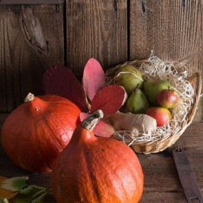 Thanksgiving Day Photography Background Pumpkin Fruit Wood Floor Backdrops