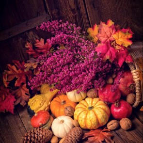 Photography Backdrops Pomegranate Pinecone Autumn Pumpkin Leaves Thanksgiving Day Background