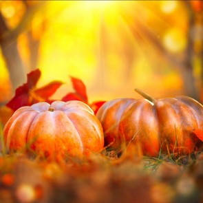 Photography Background Yellow Leaves Pumpkin Autumn Thanksgiving Day Backdrops
