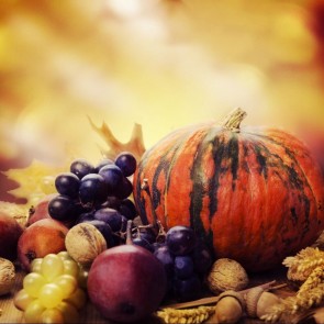 Photography Background Grape Pumpkin Autumn Thanksgiving Day Backdrops