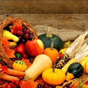 Pumpkin Fruit Autumn Thanksgiving Day Photography Background Backdrops