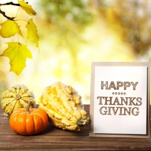 Pumpkin Leaves Thanksgiving Day Photography Background Backdrops