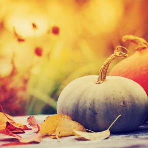 Pumpkin Autumn Leaves Thanksgiving Day Photography Background Backdrops