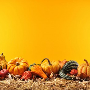 Pumpkin Autumn  Thanksgiving Day Photography Background Orange Backdrops
