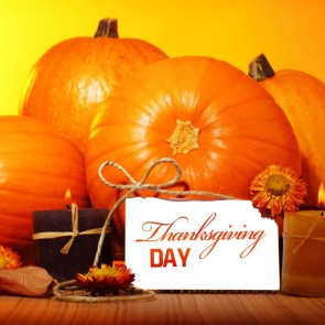 Pumpkin Thanksgiving Day Photography Background Orange Backdrops