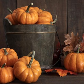 Pumpkin Red Leaves Bucket Thanksgiving Day Photography Background Backdrops
