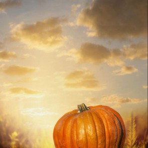 Sunset Pumpkin Photography Backdrops Thanksgiving Day Background