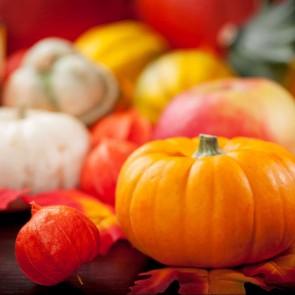 Orange White Pumpkin Photography Backdrops Thanksgiving Day Background