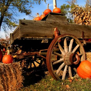 Pumpkin Haystack Farm Photography Background Thanksgiving Day Backdrops