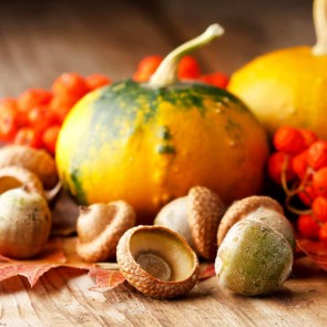 Hazelnut Pumpkin Photography Background Thanksgiving Day Backdrops