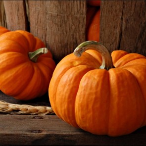 Photography Backdrops Pumpkin Wheat Ears Thanksgiving Day Background