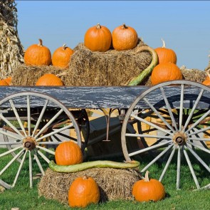Photography Backdrops Pumpkin Haystack Thanksgiving Day Background