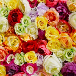 Flowers Wall Photography Background Roses In A Variety Of Colors Backdrops