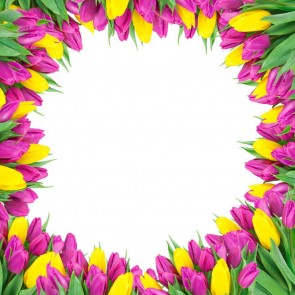 Photography Backdrops Purple Yellow Tulips Flowers Background