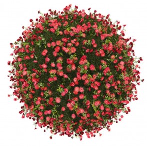 Photography Background Red Flowers Ball White Backdrops For Photo Studio