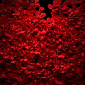 Photography Background Flowers Wall Red Rose Petals Backdrops