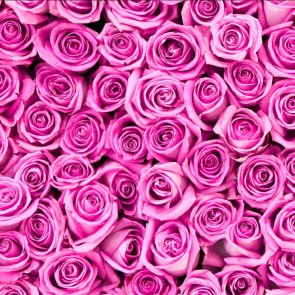 Photography Background Pink Rose Flowers Wall Backdrops For Photo Studio