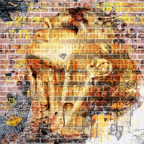 Graffiti Photography Background Golden Face Brick Wall Backdrops