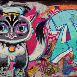 Photography Background Grey Cat Graffiti Backdrops For Photo Studio