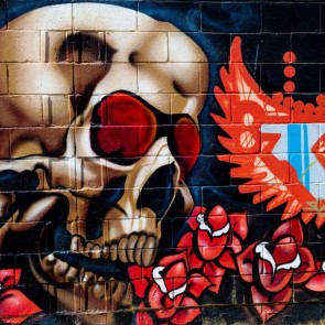 Skull Red Flower Photography Backdrops Graffiti Background