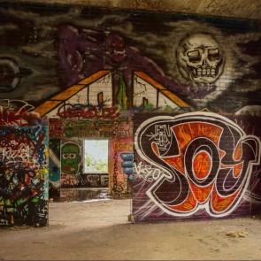 Monster Skull Head Photography Backdrops Graffiti Background