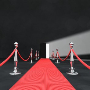 White Light Photography Background Red Carpet Black Backdrops For Photo Studio