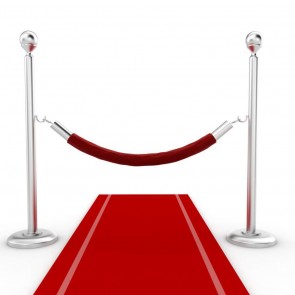 Photography Background Red Carpet Silver Guardrail Backdrops For Photo Studio