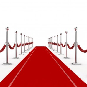 Photography Background Silver Guardrail Red Carpet Backdrops For Photo Studio