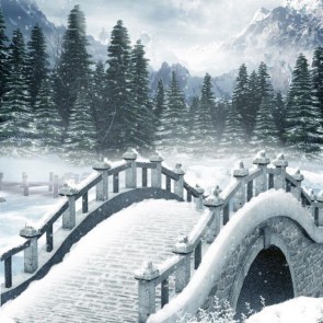 Architecture Photography Background Arch Bridge Mountain Snow Backdrops
