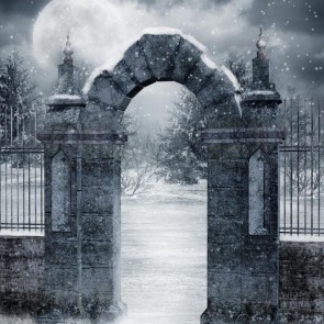 Arched Door Photography Backdrops Snow Architecture Background For Photo Studio