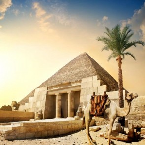 Photography Backdrops Pyramid Camel Sunset Architecture Background