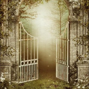 Photography Background White Door Grass Flowers Architecture Backdrops