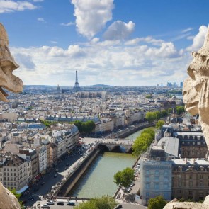 Photography Background Notre Dame Cathedral Statue Architecture Backdrops