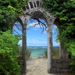 Arched Stone Door Green Vegetation Photography Backdrops Architecture Background