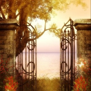 Door Grassland Tree Sunset Photography Background Architecture Backdrops