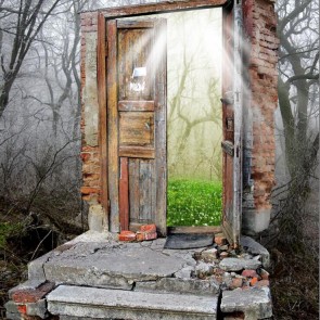 Abandoned Door In The Jungle Photography Background Architecture Backdrops