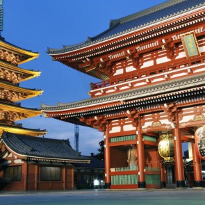 Photography Background Tokyo Tower Architecture Backdrops For Photo Studio