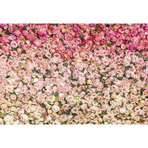 Flowers Photography Backdrops Pink Purple Roses Flower Wall Background For Wedding
