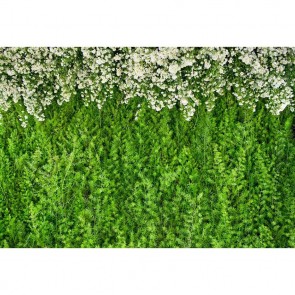Flowers Photography Backdrops Green Leaves White Flower Background For Wedding