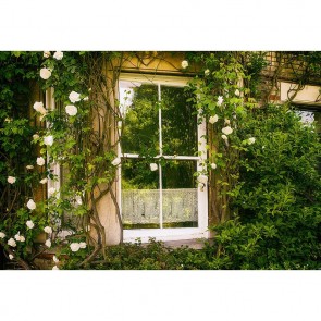 Door Window Photography Backdrops White Door White Rose Flower Background