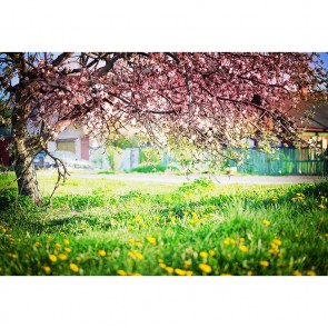 Nature Photography Backdrops Pink Cherry Blossom Tree Grass Background