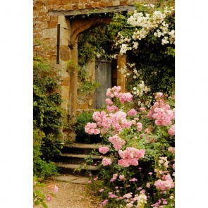 Door Window Photography Backdrops Pink Rose Flower Brown Door Background