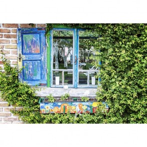 Door Window Photography Backdrops Dilapidated Blue Window Greenery Background