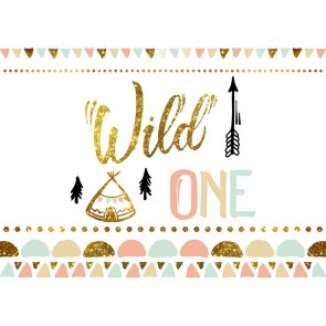 Custom Photography Backdrops Cartoon Wild One Background For Children