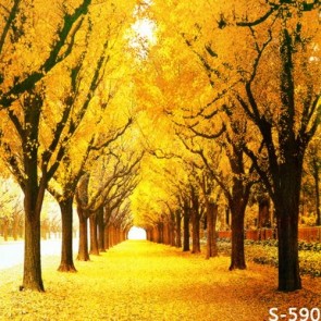 Nature Photography Backdrops Golden Leaves In Autumn Ginkgo Tree Background