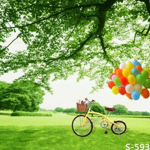 Nature Photography Backdrops Big Banyan Balloon Tree Bike Background