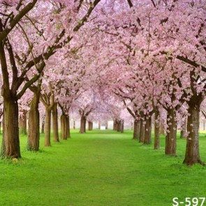 Nature Photography Backdrops Pink Cherry Tree Green Lawn Background